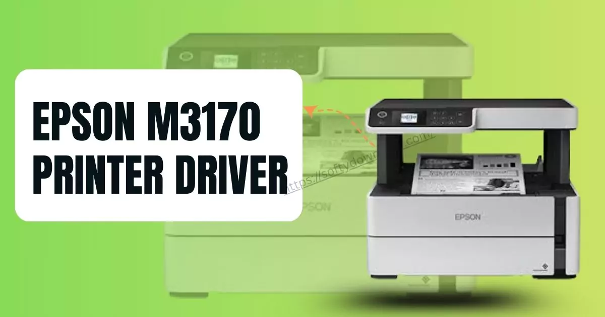 Epson M3170 Printer Driver