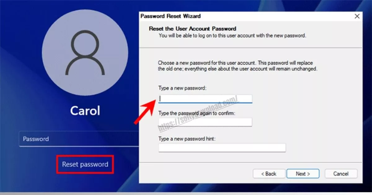 Windows 11 Password Reset Without USB